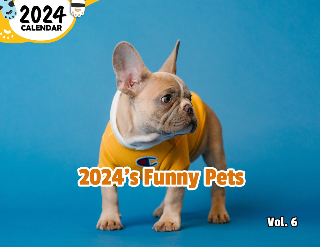 2024's Funny Pets Volume Six: 2024 Wall Calendar (Published)