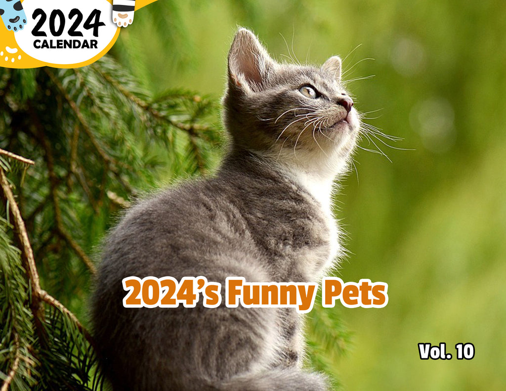 2024's Funny Pets Volume Ten: 2024 Wall Calendar (Published)