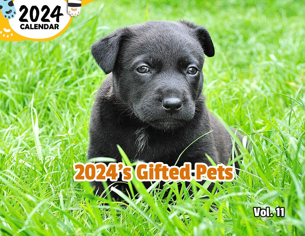 2024's Gifted Pets Volume Eleven: 2024 Wall Calendar (Published)