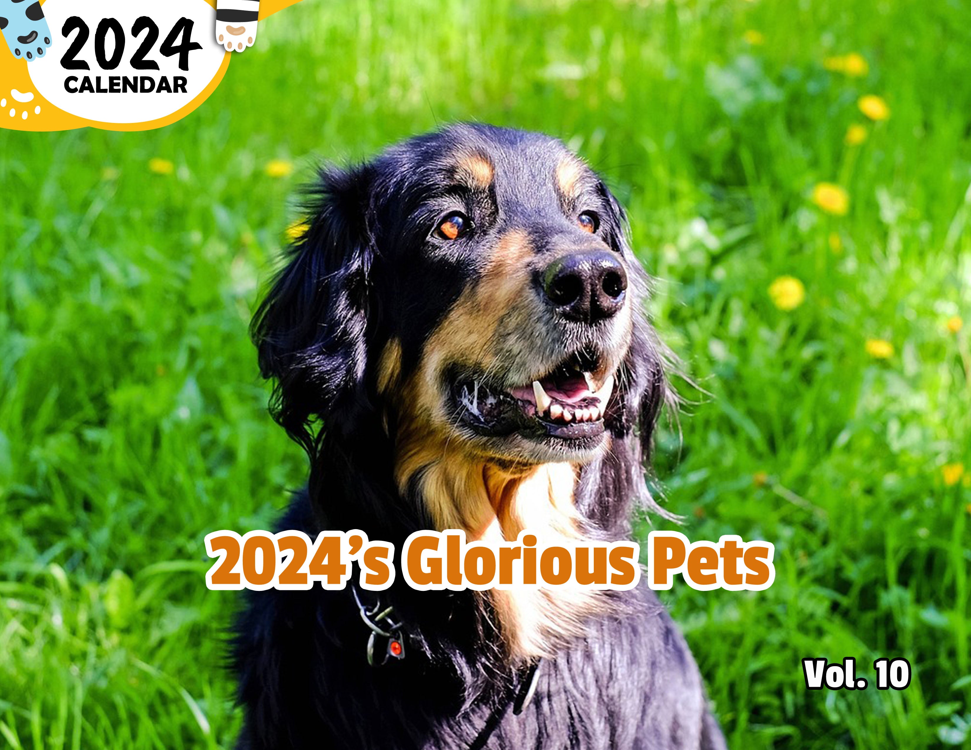 2024's Glorious Pets Volume Ten: 2024 Wall Calendar (Published)