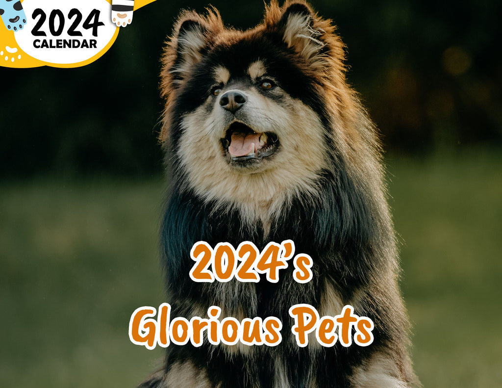 2024's Glorious Pets: 2024 Wall Calendar (Published)
