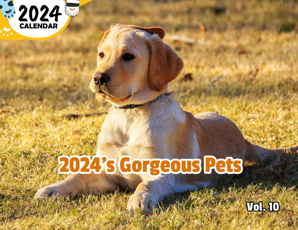 2024's Gorgeous Pets Volume Ten: 2024 Wall Calendar (Published)