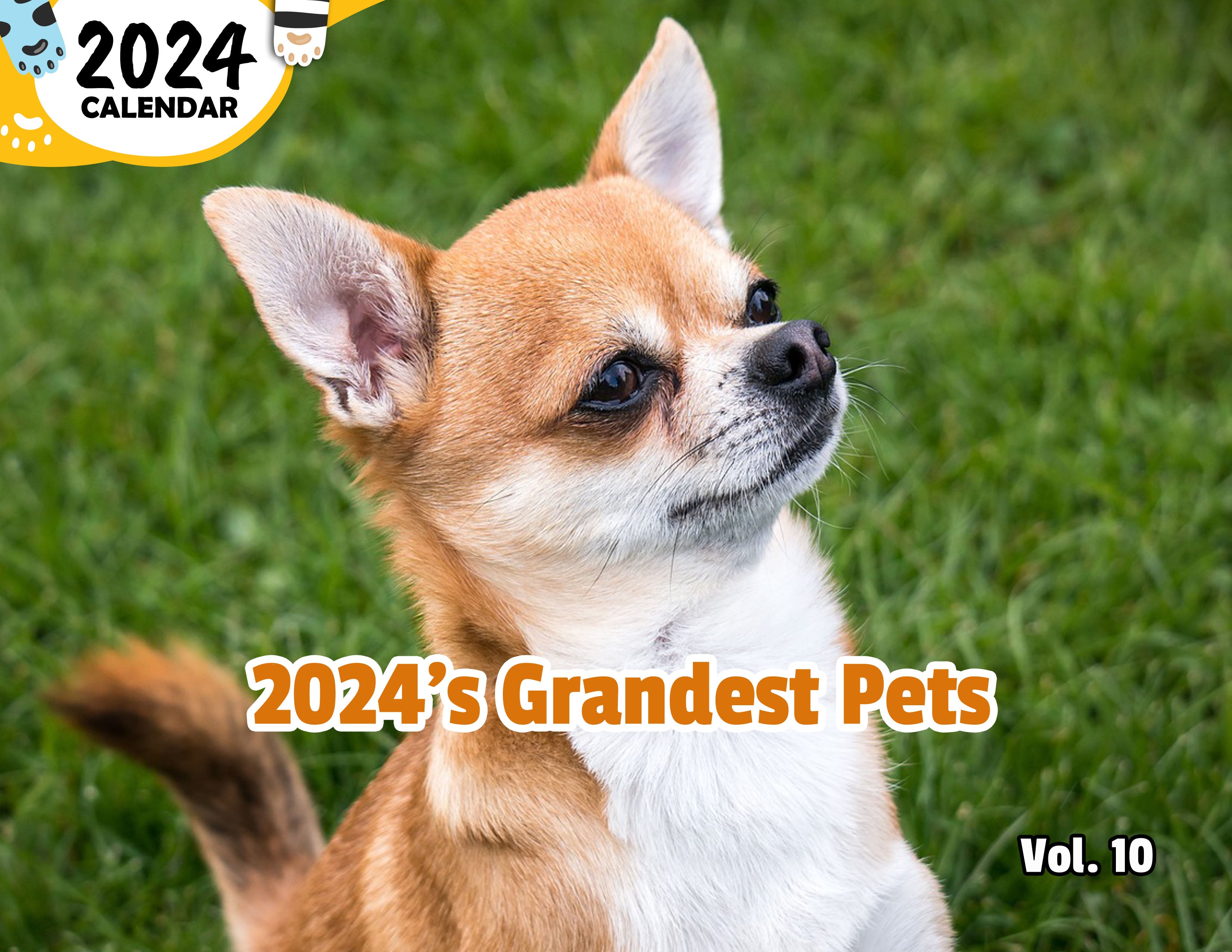 2024's Grandest Pets Volume Ten: 2024 Wall Calendar (Published)