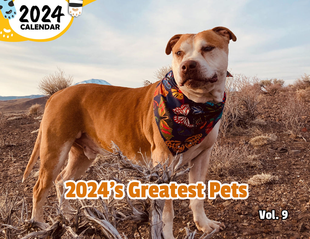 2024's Greatest Pets Volume Nine: 2024 Wall Calendar (Published)