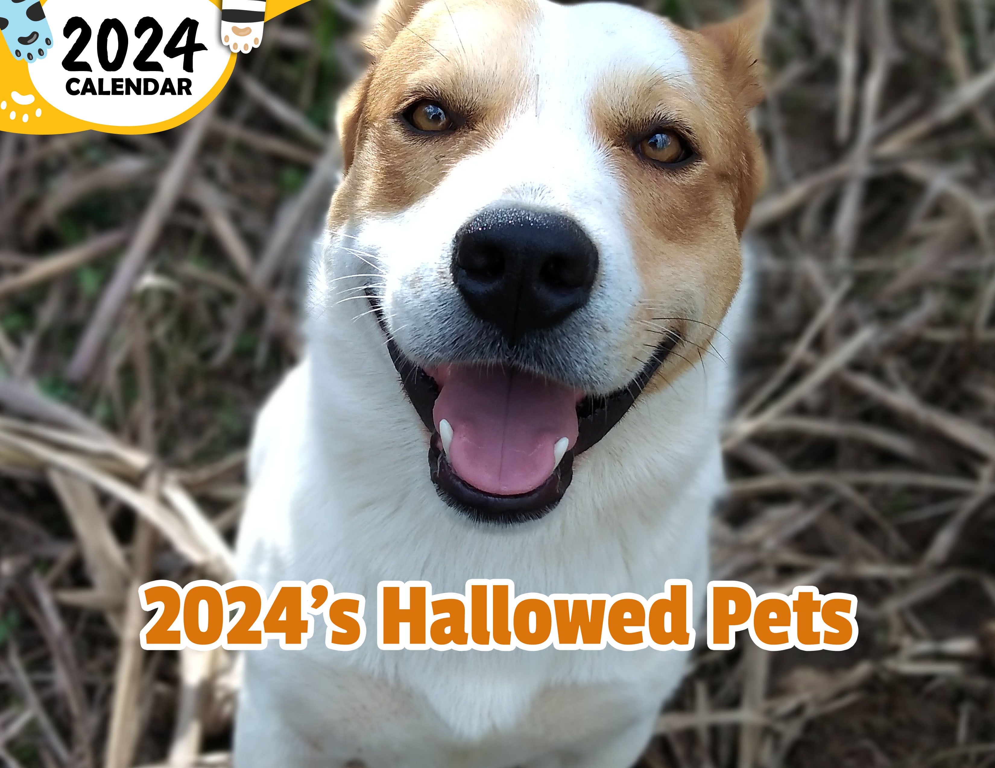 2024's Hallowed Pets: 2024 Wall Calendar (Published)
