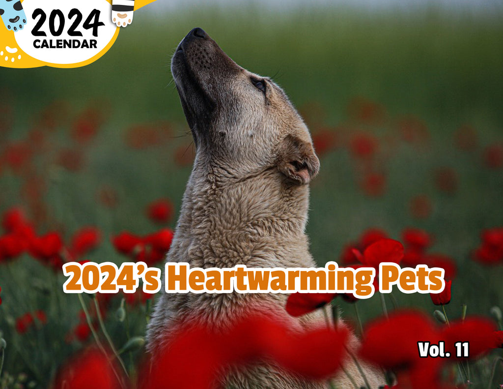 2024's Heartwarming Pets Volume Eleven: 2024 Wall Calendar (Published)