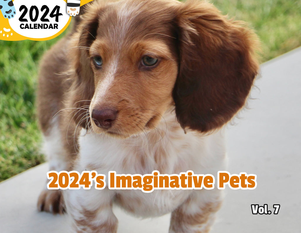 2024's Imaginative Pets Volume Seven: 2024 Wall Calendar (Published)