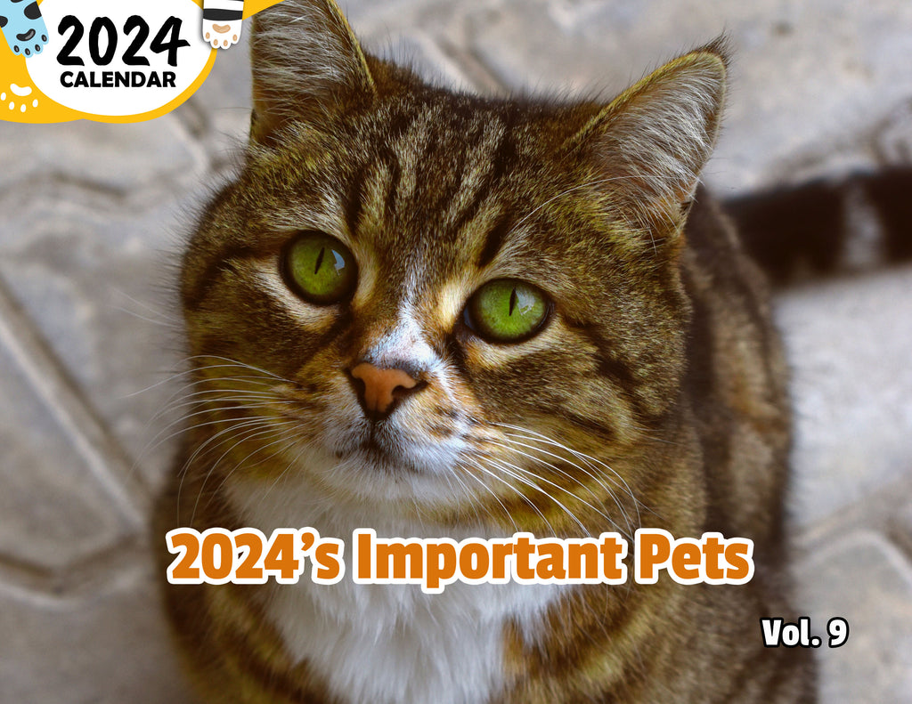2024's Important Pets Volume Nine: 2024 Wall Calendar (Published)