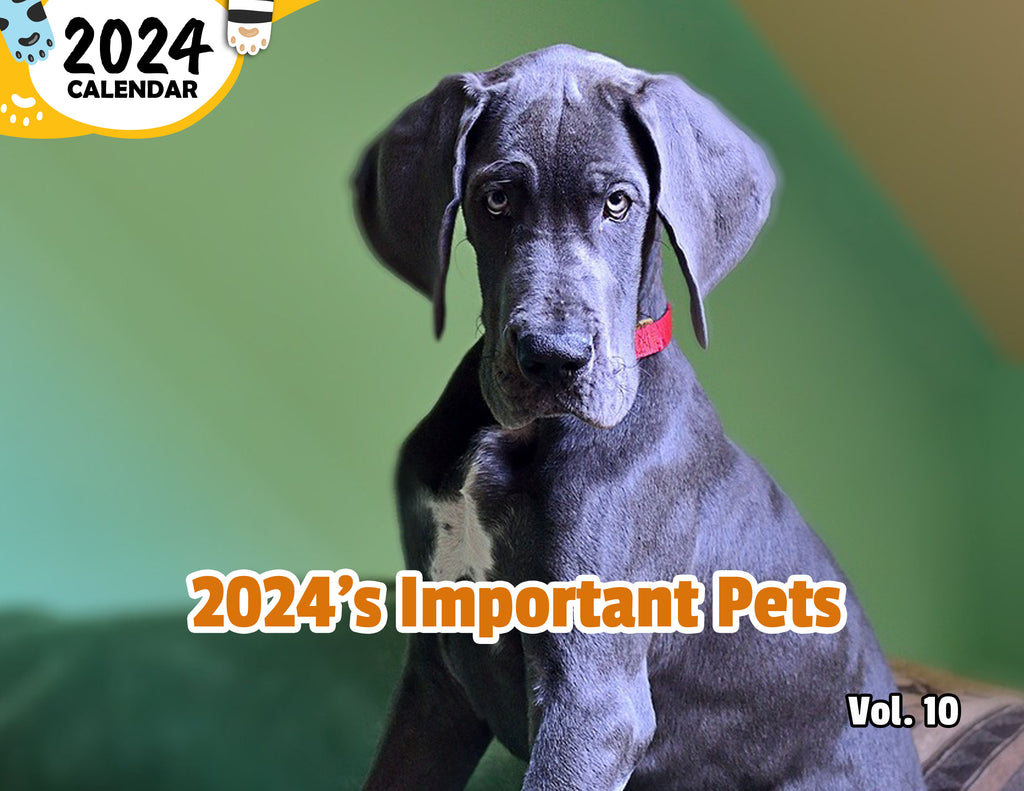 2024's Important Pets Volume Ten: 2024 Wall Calendar (Published)