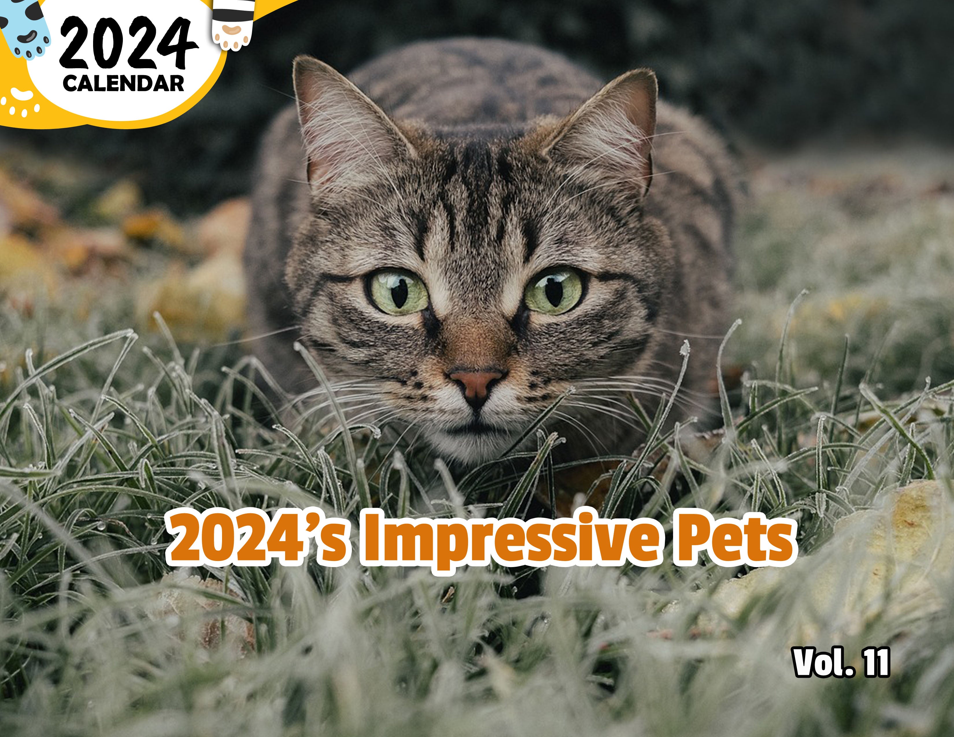 2024's Impressive Pets Volume Eleven: 2024 Wall Calendar (Published)
