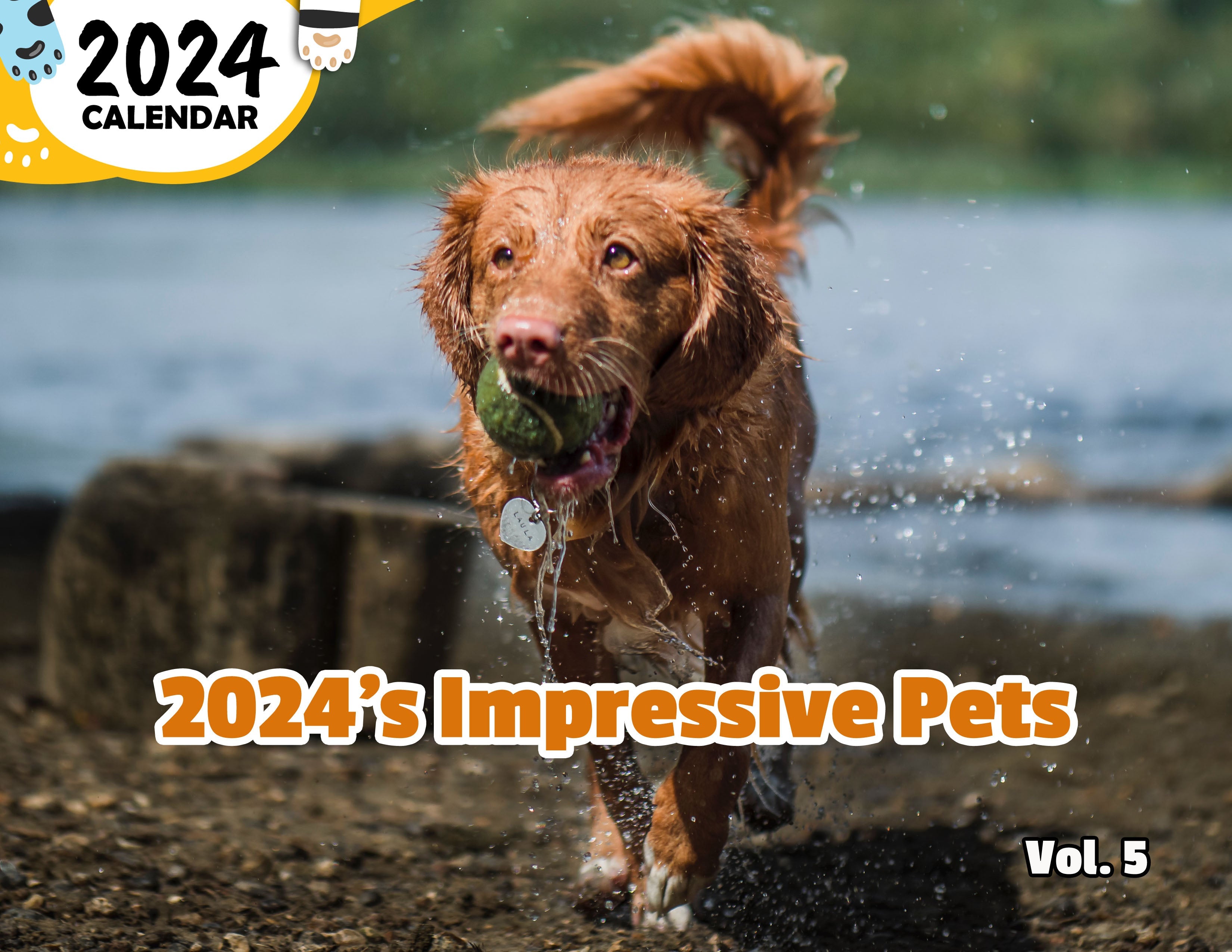 2024's Impressive Pets Volume Five: 2024 Wall Calendar (Published)