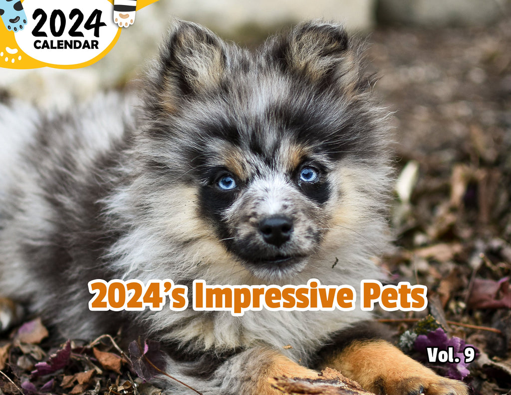 2024's Impressive Pets Volume Nine: 2024 Wall Calendar (Published)