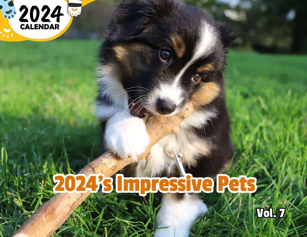2024's Impressive Pets Volume Seven: 2024 Wall Calendar (Published)
