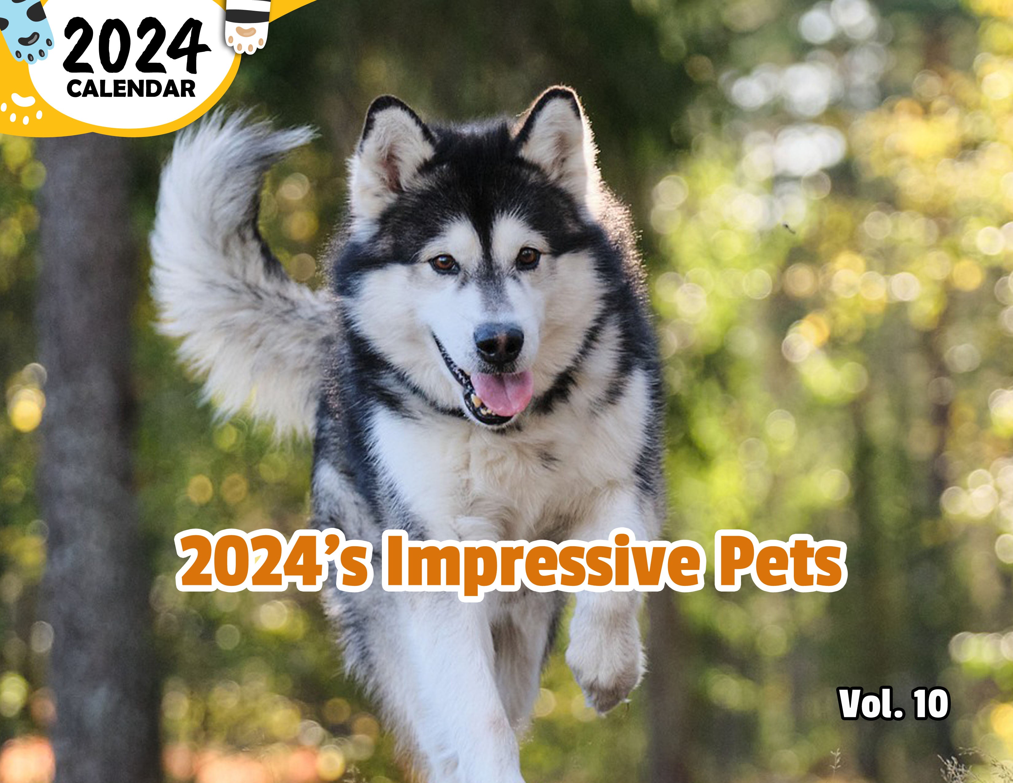 2024's Impressive Pets Volume Ten: 2024 Wall Calendar (Published)