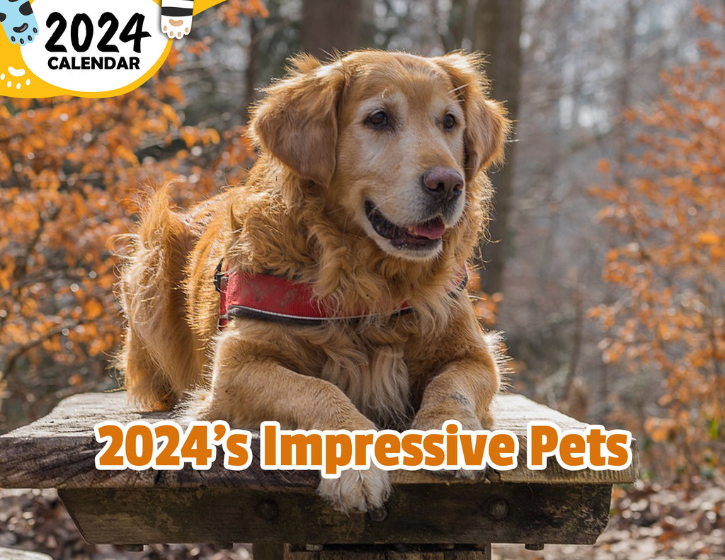 2024's Impressive Pets: 2024 Wall Calendar (Published)
