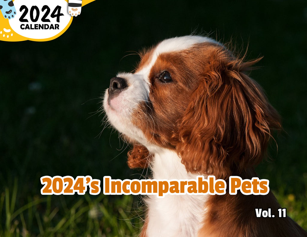2024's Incomparable Pets Volume Eleven: 2024 Wall Calendar (Pre-Order)