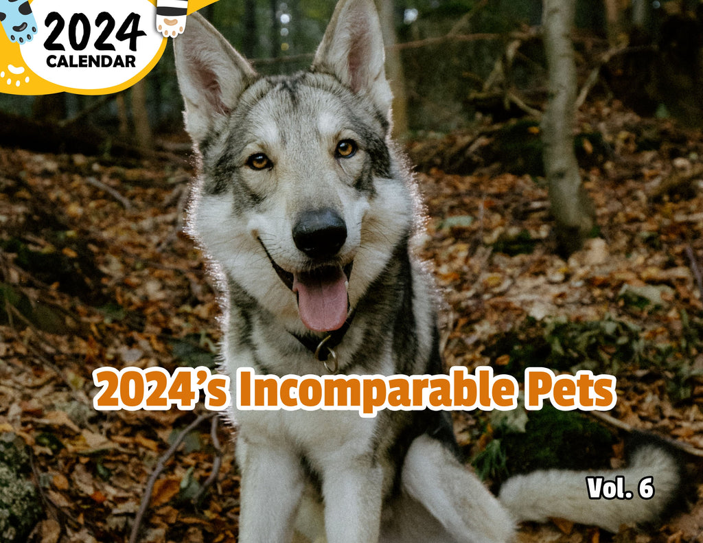 2024's Incomparable Pets Volume Six: 2024 Wall Calendar (Published)