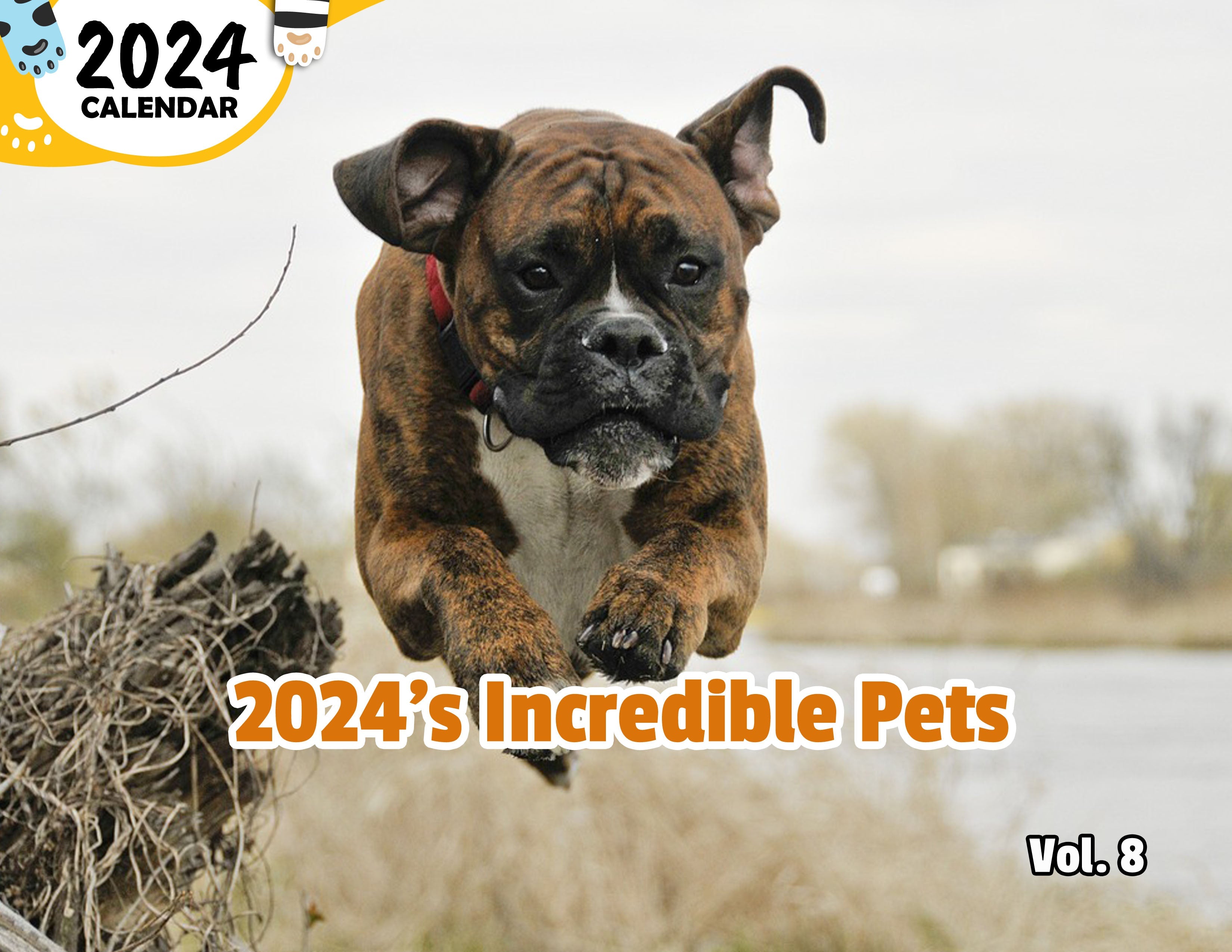 2024's Incredible Pets Volume Eight: 2024 Wall Calendar (Published)