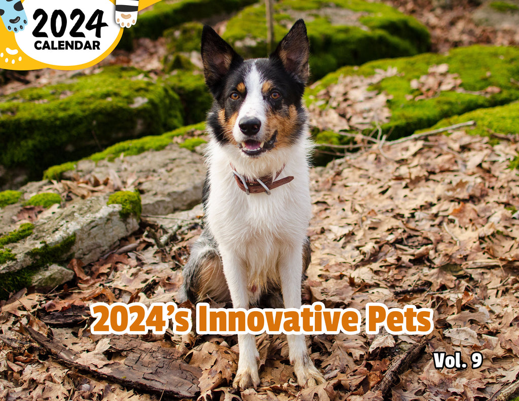 2024's Innovative Pets Volume Nine: 2024 Wall Calendar (Published)