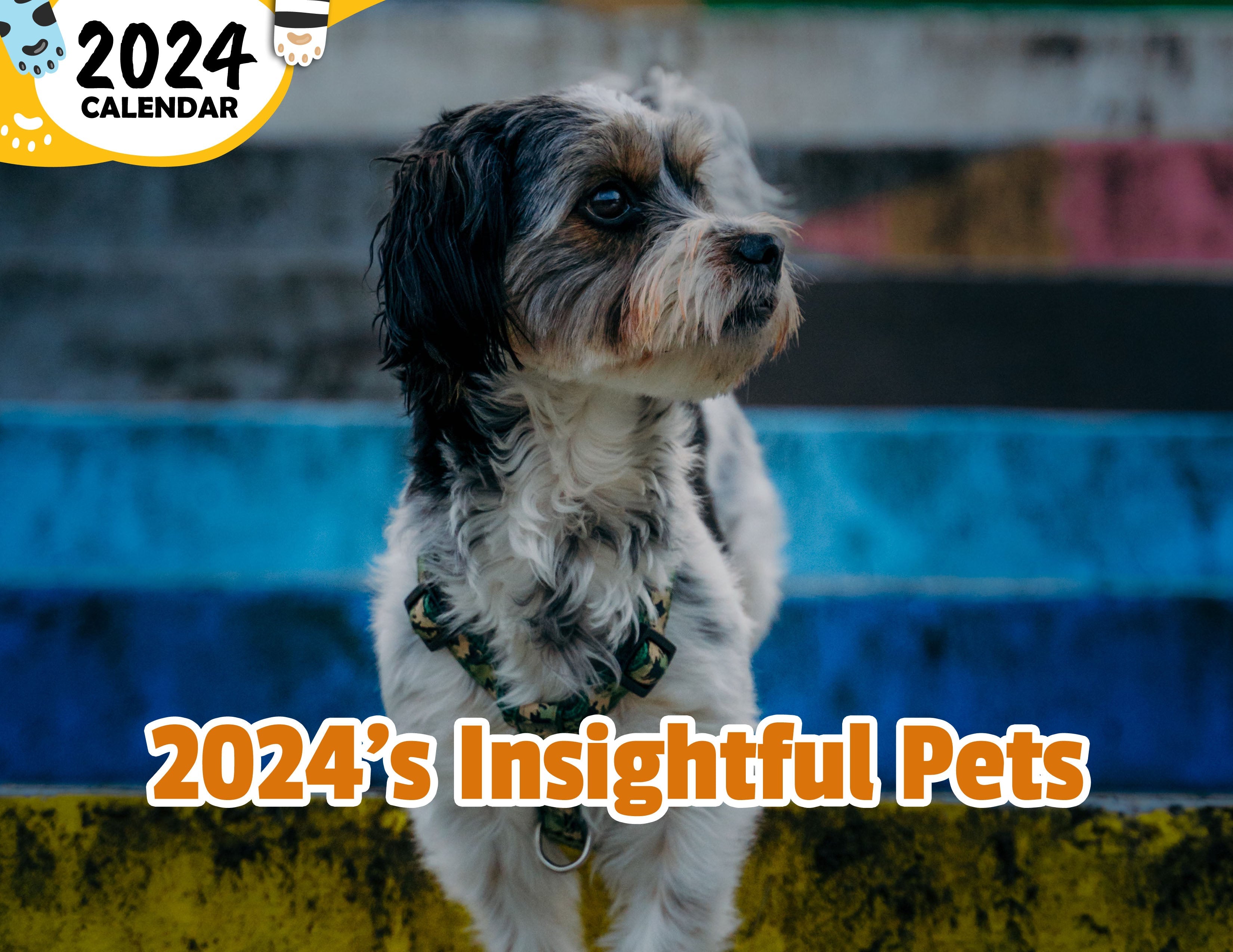 2024's Insightful Pets: 2024 Wall Calendar (Published)