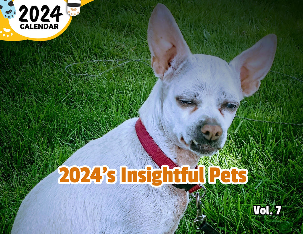 2024's Insightful Pets Volume Seven: 2024 Wall Calendar (Published)