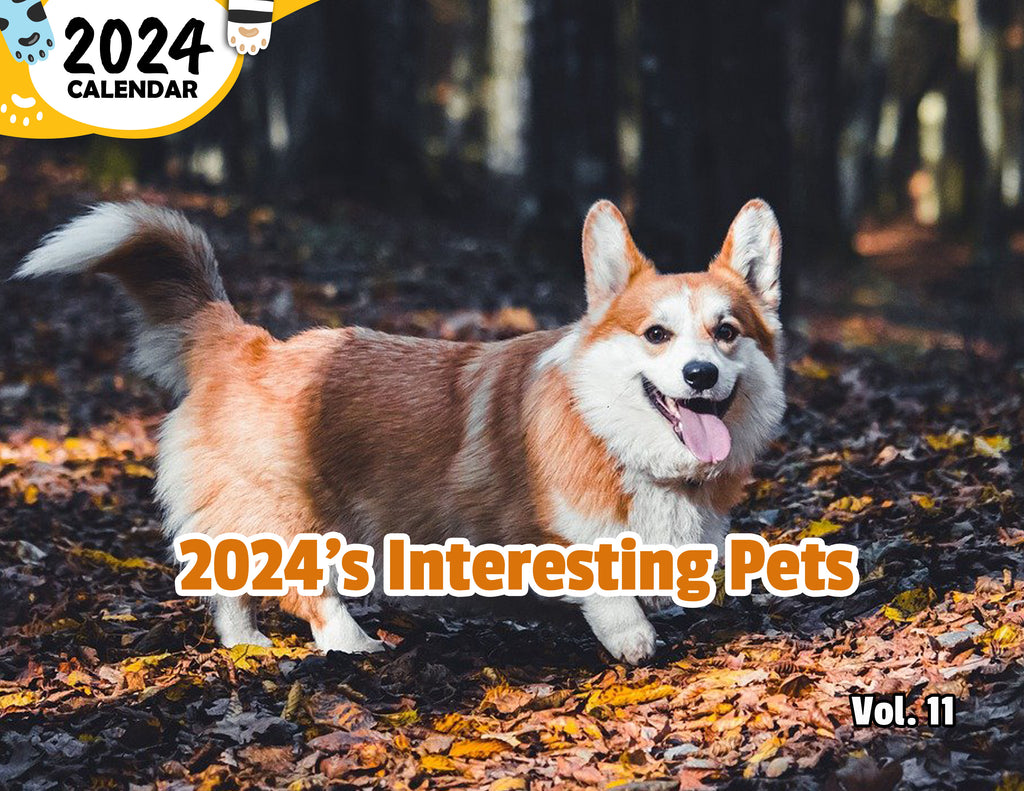 2024's Interesting Pets Volume Eleven: 2024 Wall Calendar (Published)