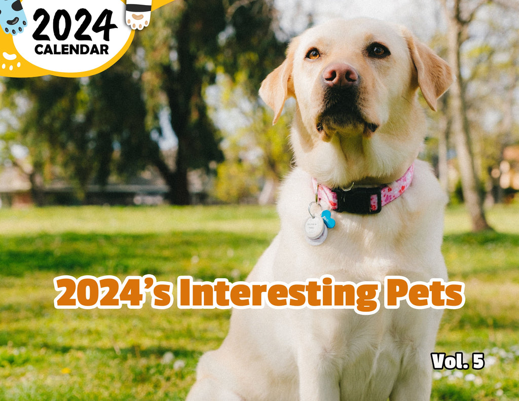 2024's Interesting Pets Volume Five: 2024 Wall Calendar (Published)