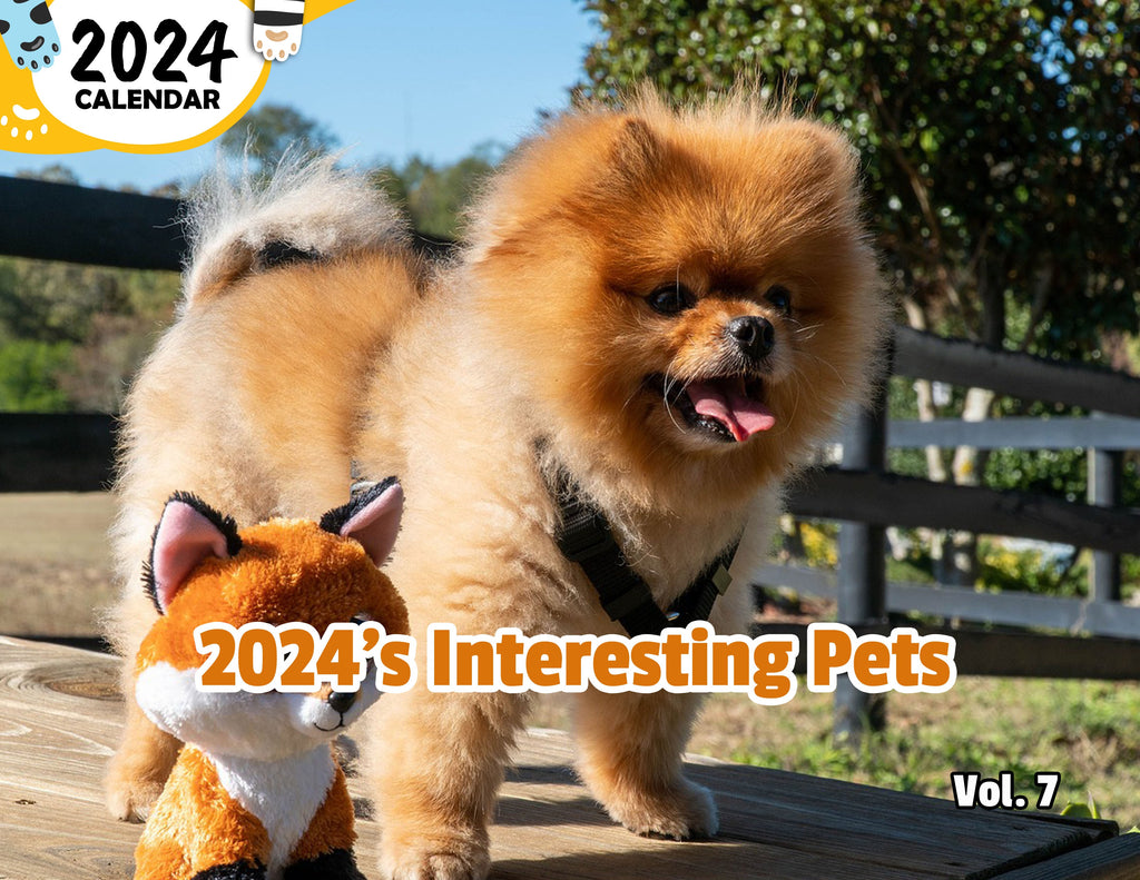 2024's Interesting Pets Volume Seven: 2024 Wall Calendar (Published)
