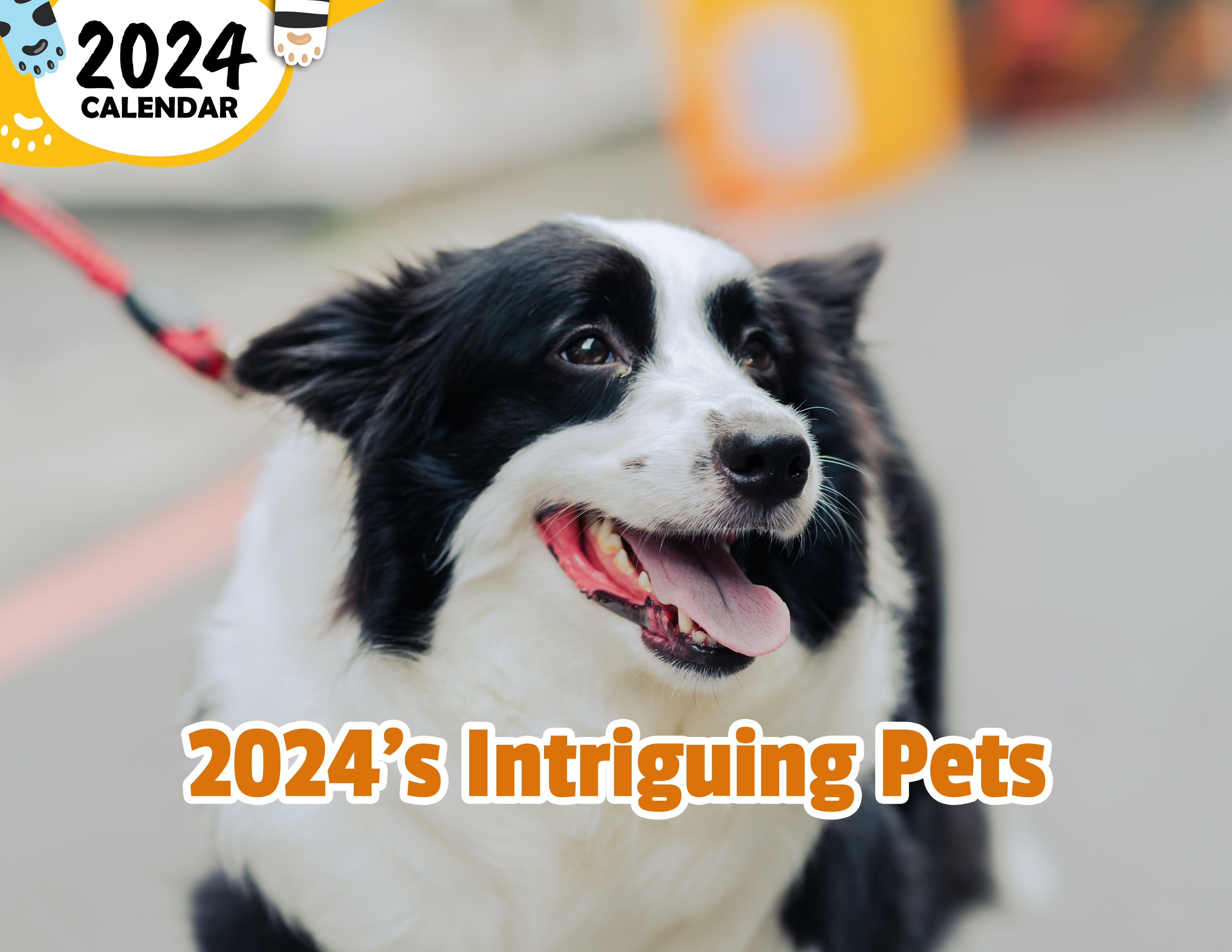 2024's Intriguing Pets: 2024 Wall Calendar (Published) – Praise My Pet!