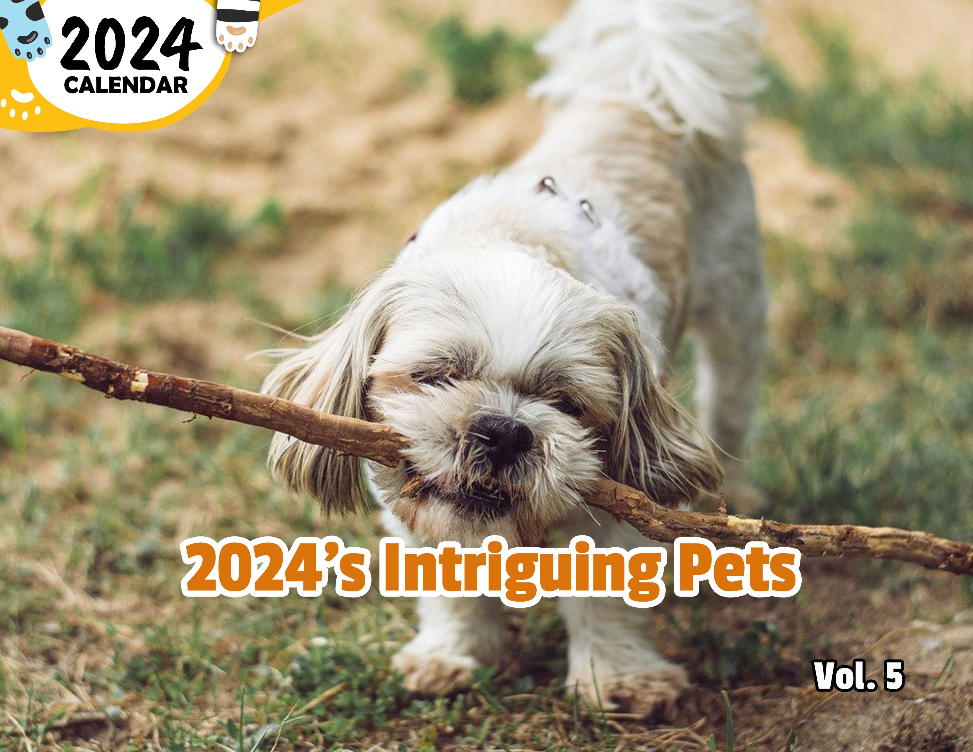 2024's Intriguing Pets Volume Five: 2024 Wall Calendar (Published)