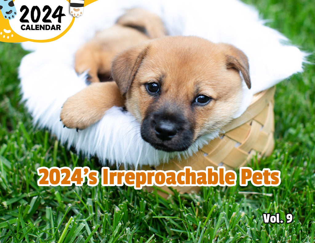 2024's Irreproachable Pets Volume Nine: 2024 Wall Calendar (Published)