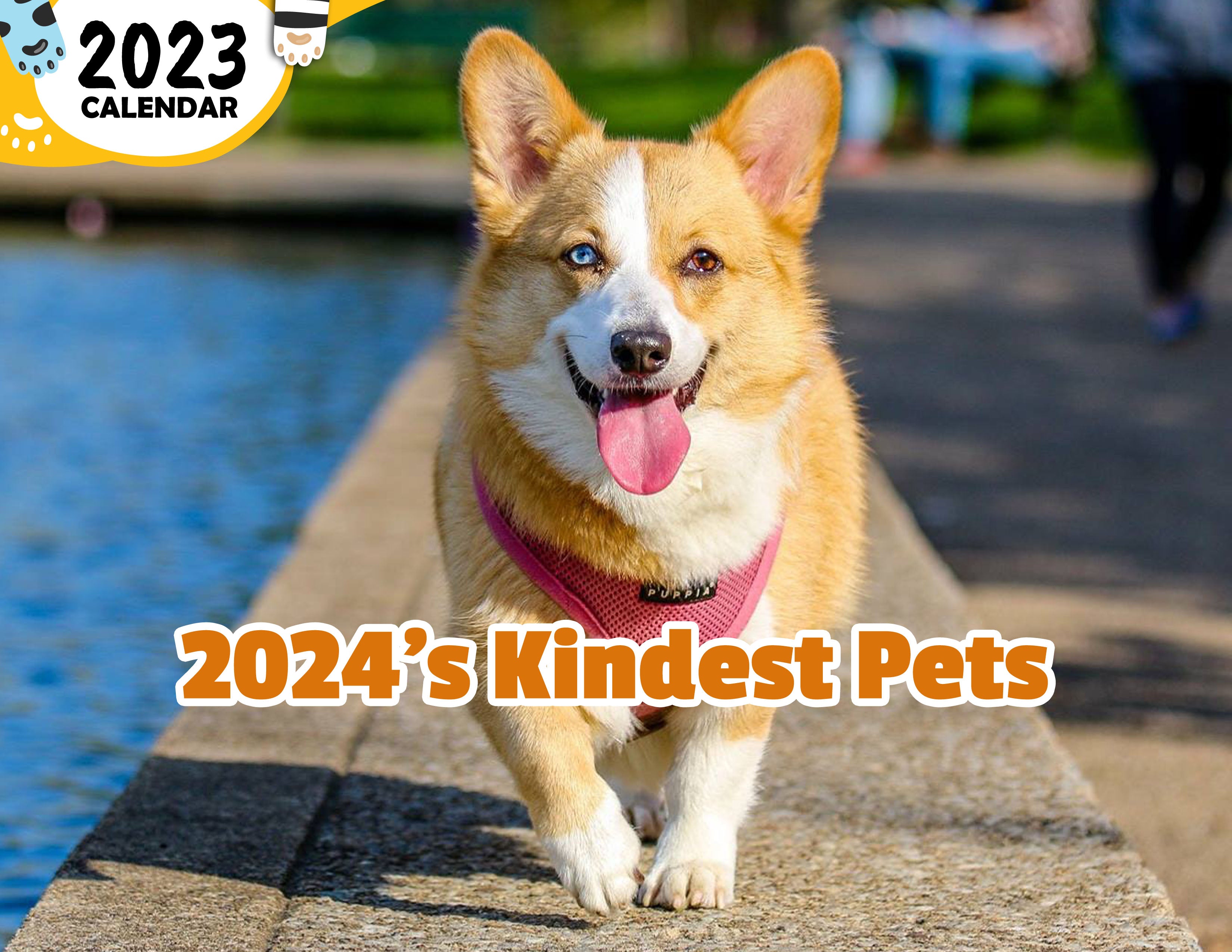 2024's Kindest Pets: 2024 Wall Calendar (Published)