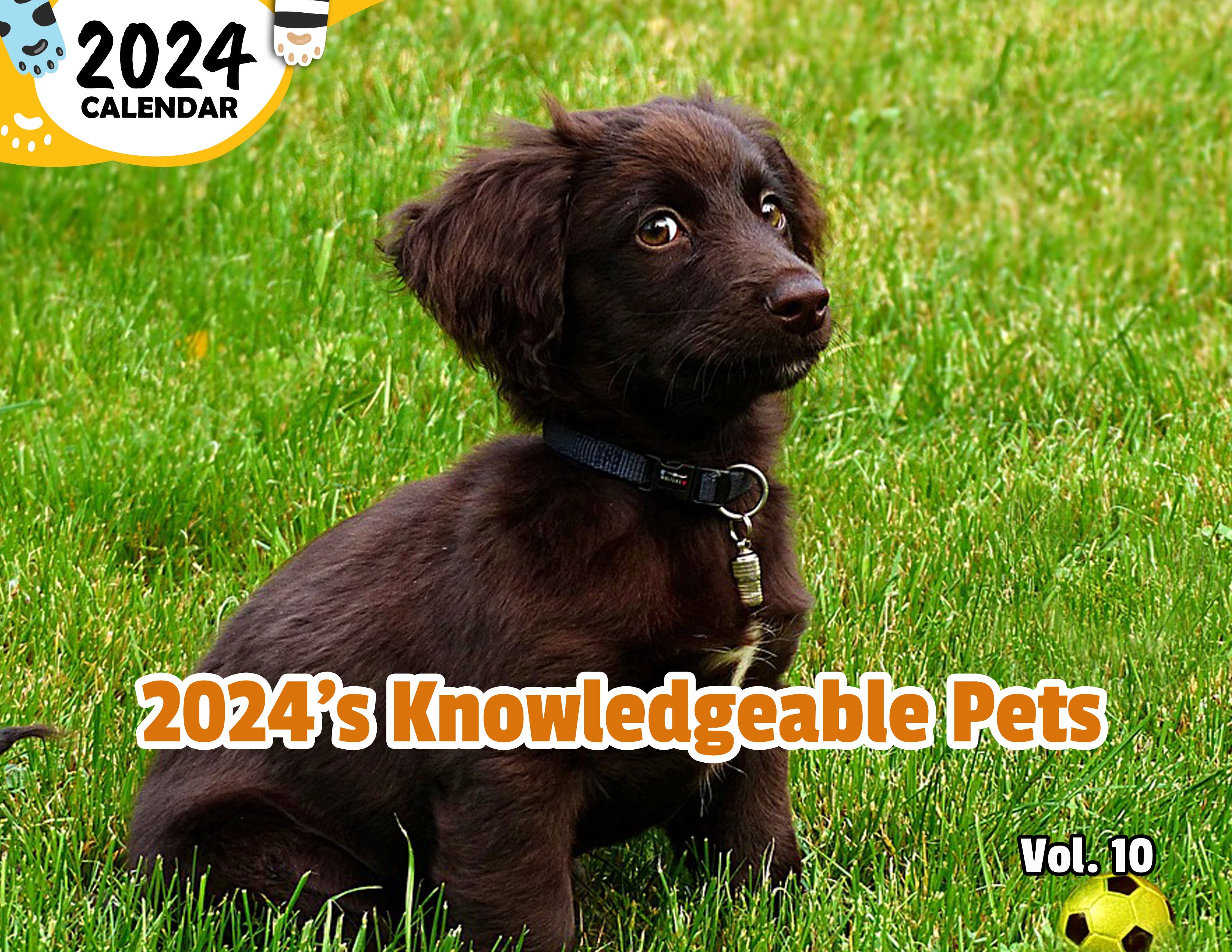2024's Knowledgeable Pets Volume Ten: 2024 Wall Calendar (Published)