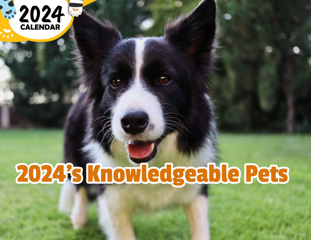 2024's Knowledgeable Pets: 2024 Wall Calendar (Published)