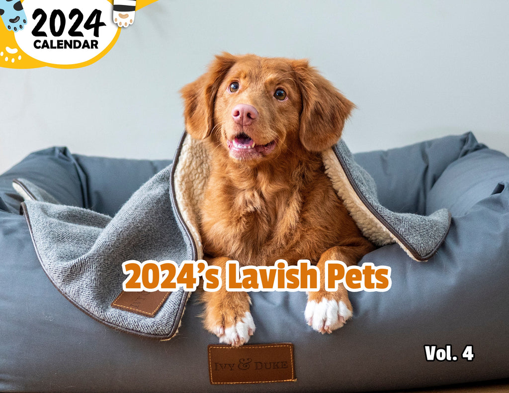 2024's Lavish Pets Volume Four: 2024 Wall Calendar (Published)
