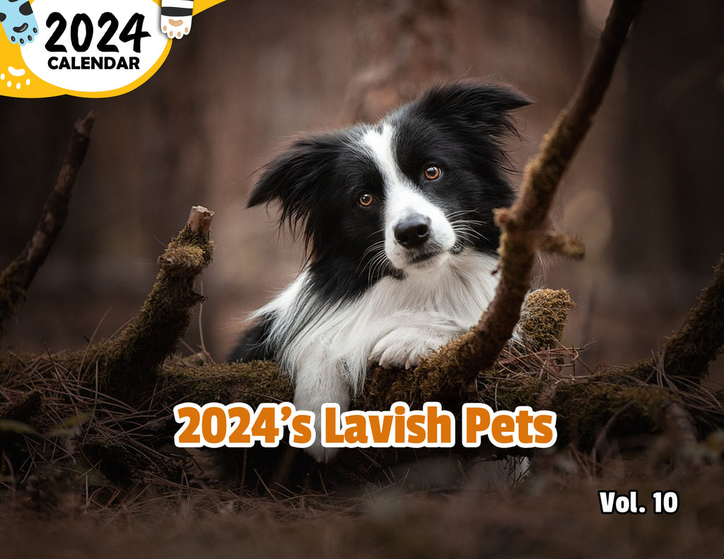 2024's Lavish Pets Volume Ten: 2024 Wall Calendar (Published)