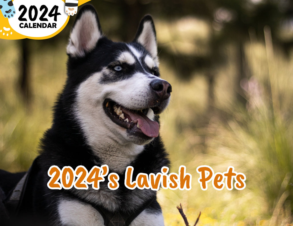 2024's Lavish Pets: 2024 Wall Calendar (Published)