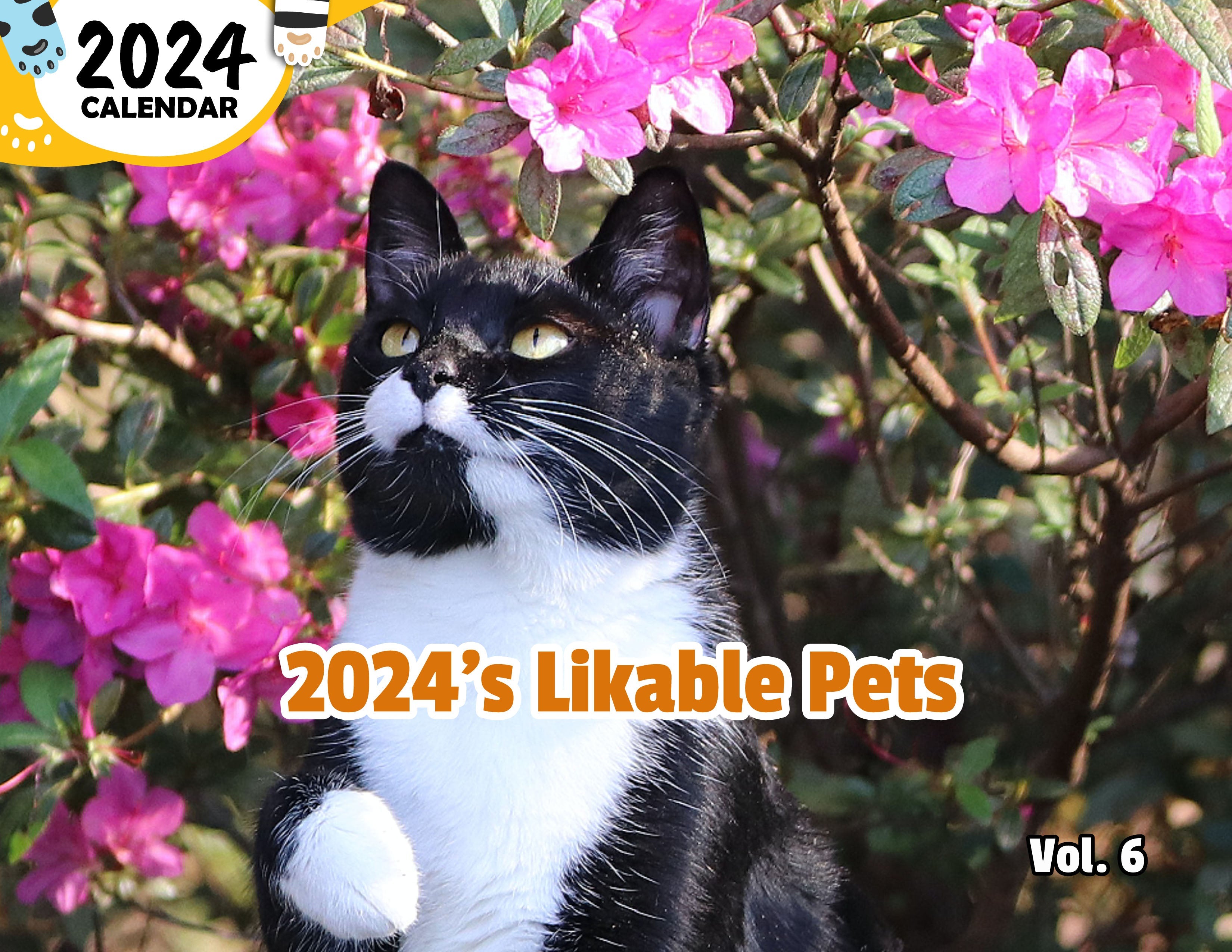 2024's Likable Pets Volume Six: 2024 Wall Calendar (Published)