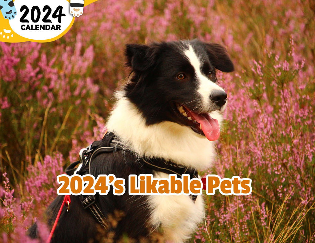 2024's Likable Pets: 2024 Wall Calendar (Published)