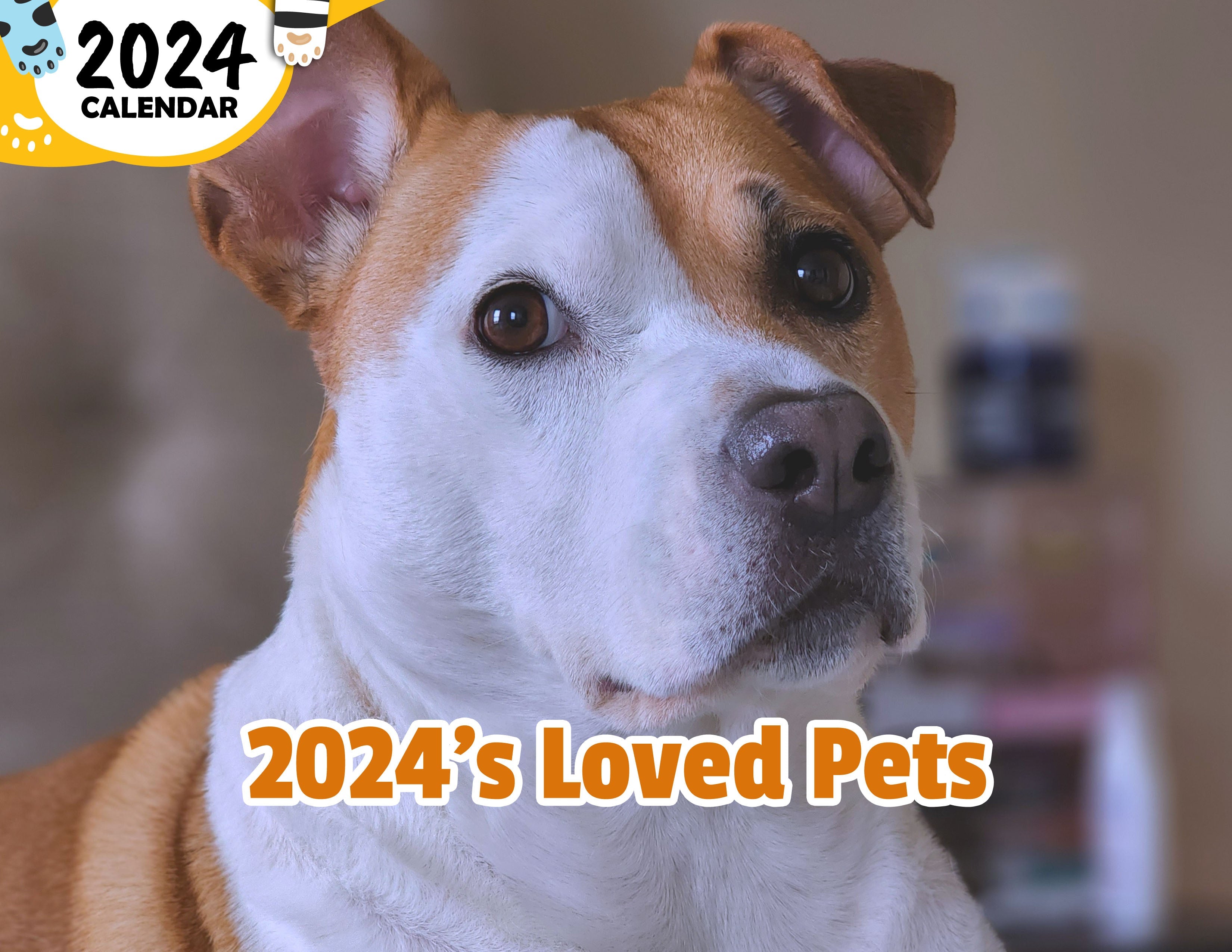 2024's Loved Pets: 2024 Wall Calendar (Published)