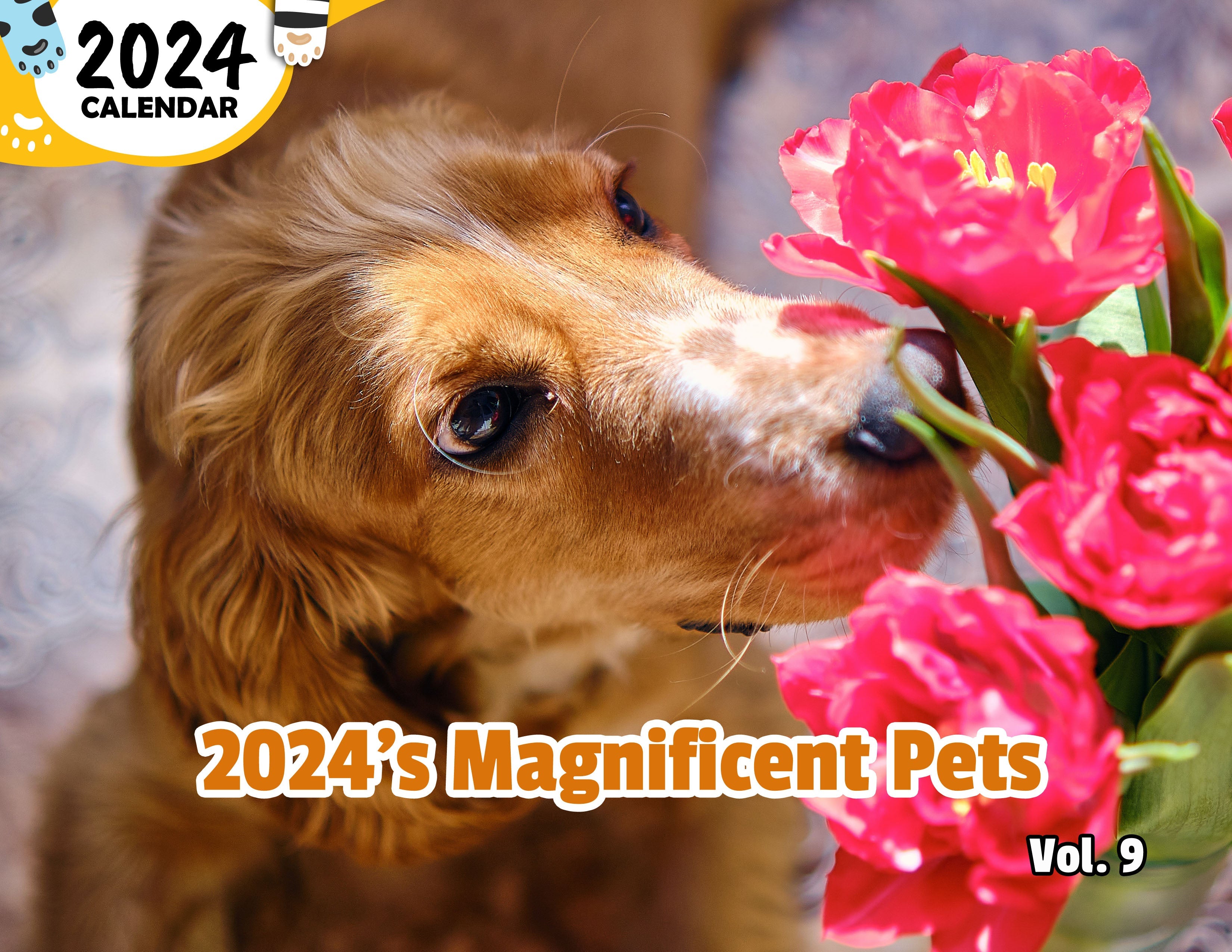 2024's Magnificent Pets Volume Nine: 2024 Wall Calendar (Published)