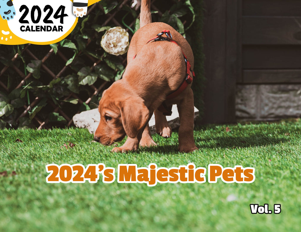 2024's Majestic Pets Volume Five: 2024 Wall Calendar (Published)