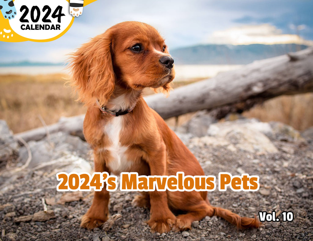 2024's Marvelous Pets Volume Ten: 2024 Wall Calendar (Published)