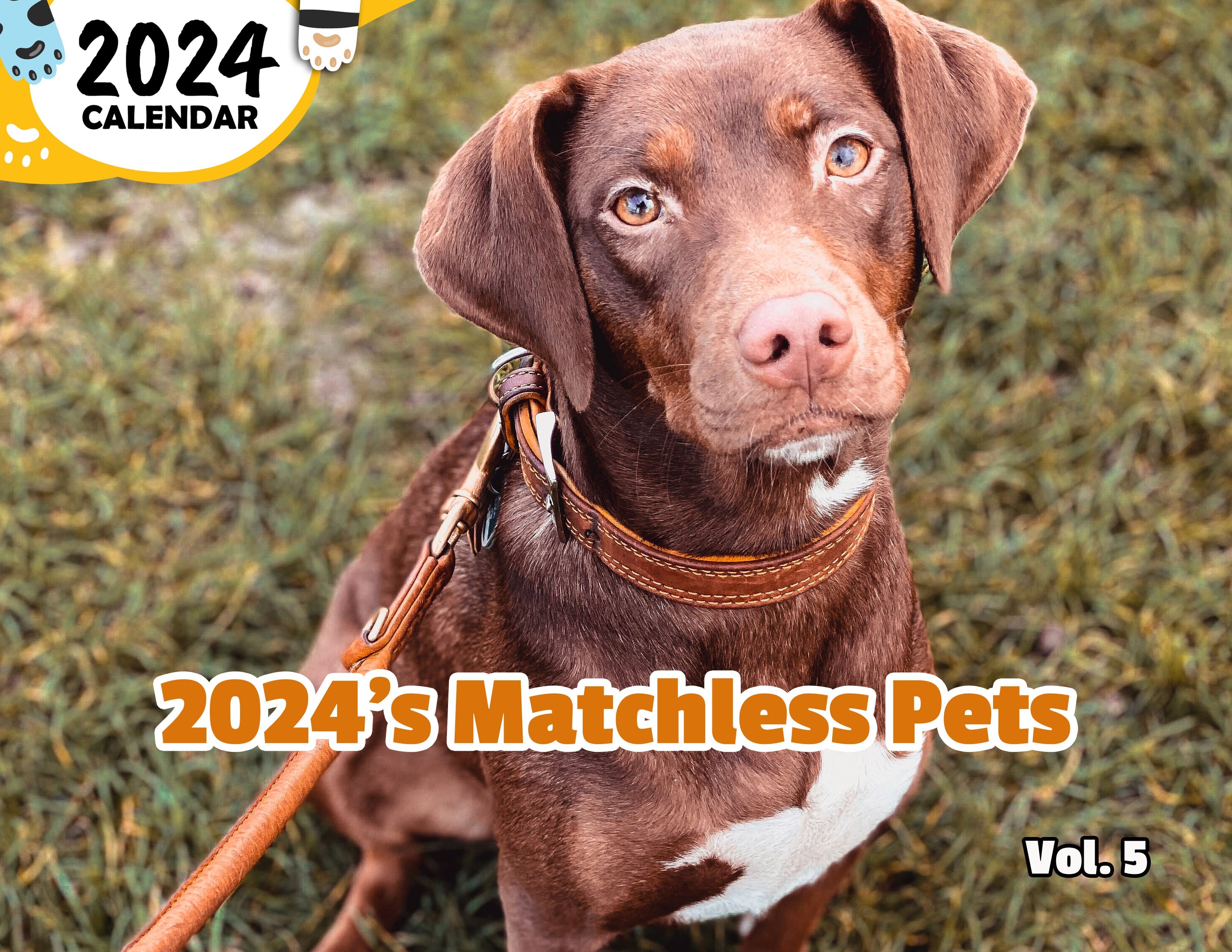 2024's Matchless Pets Volume Five: 2024 Wall Calendar (Published)