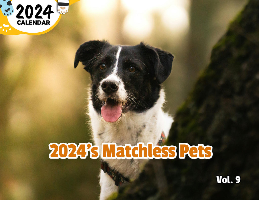 2024's Matchless Pets Volume Nine: 2024 Wall Calendar (Published)