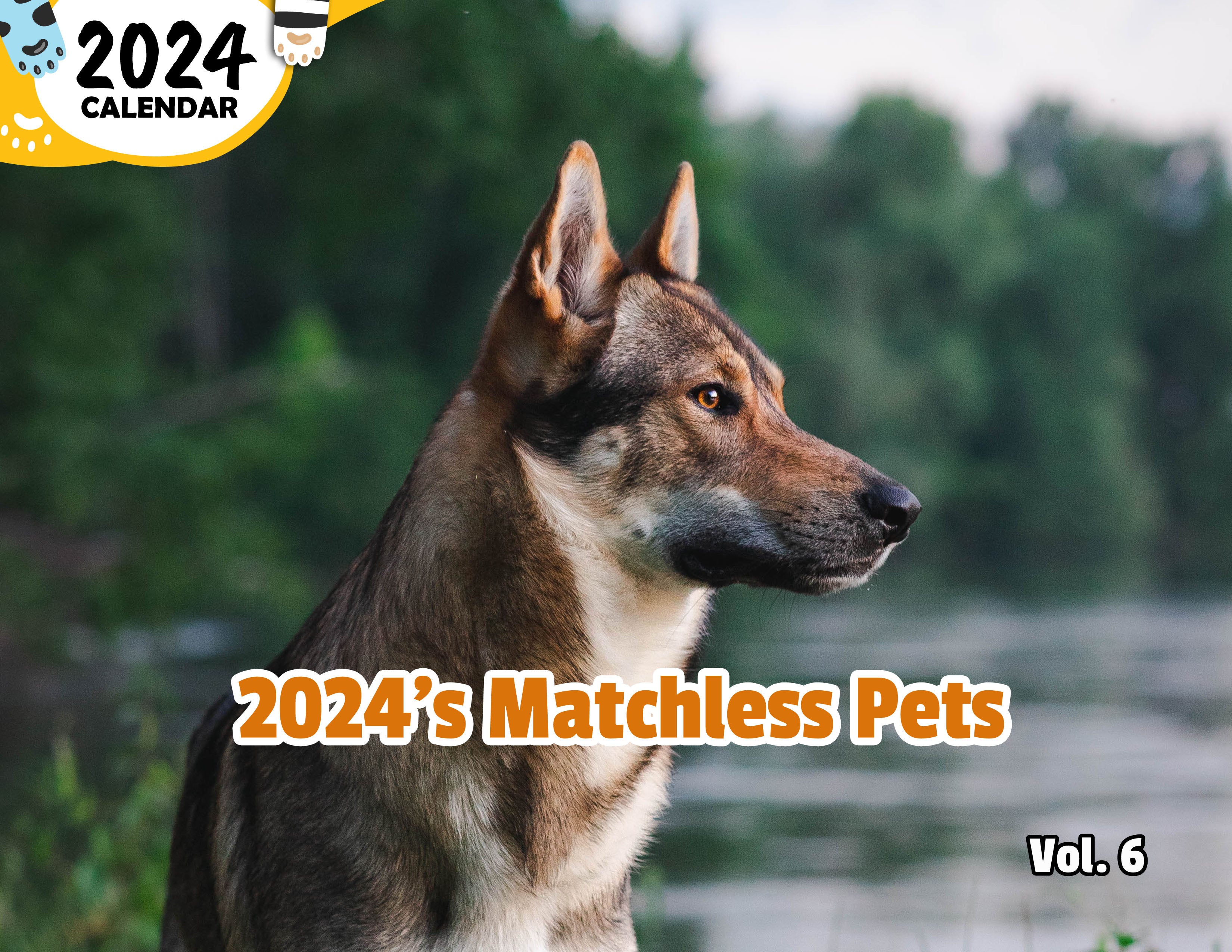 2024's Matchless Pets Volume Six: 2024 Wall Calendar (Published)