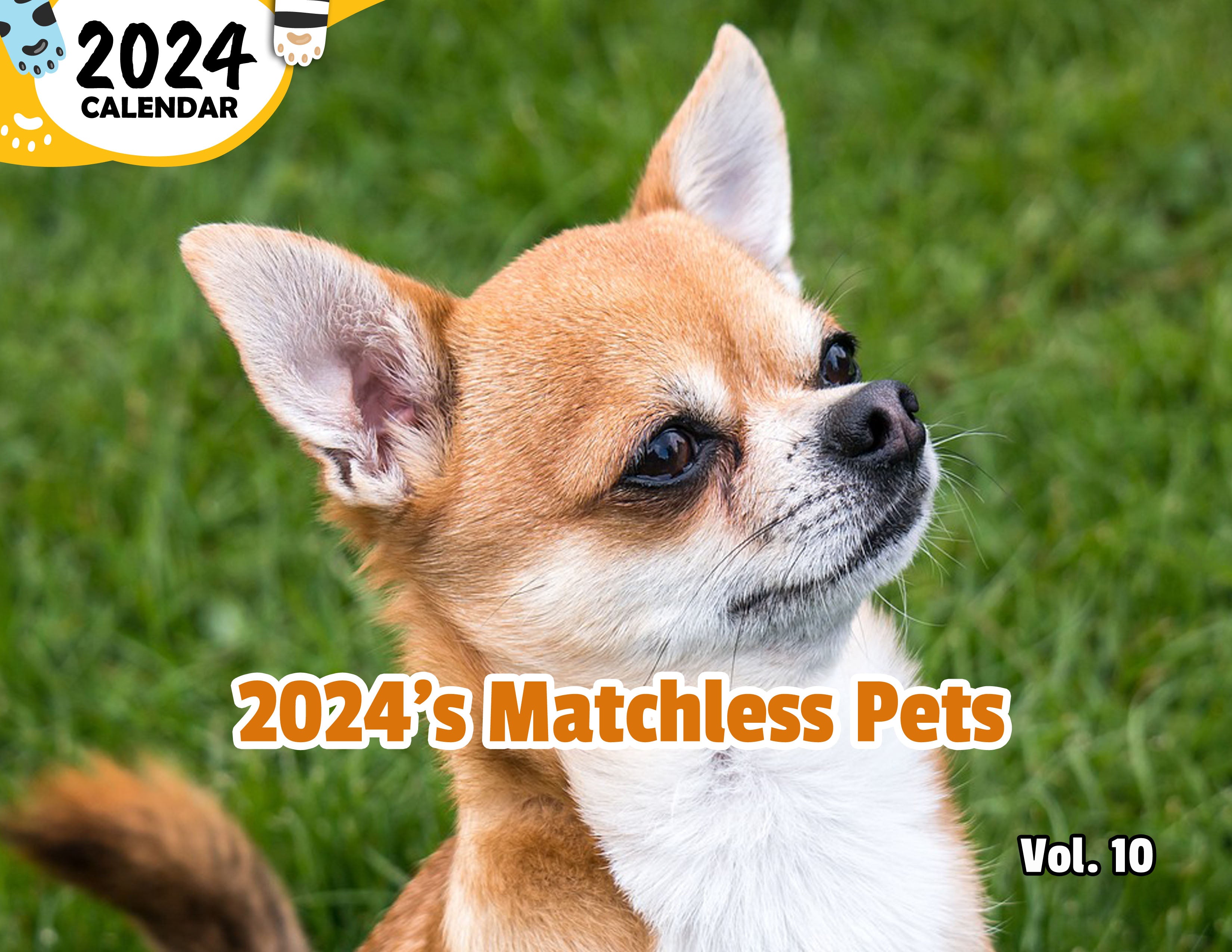 2024's Matchless Pets Volume Ten: 2024 Wall Calendar (Published)