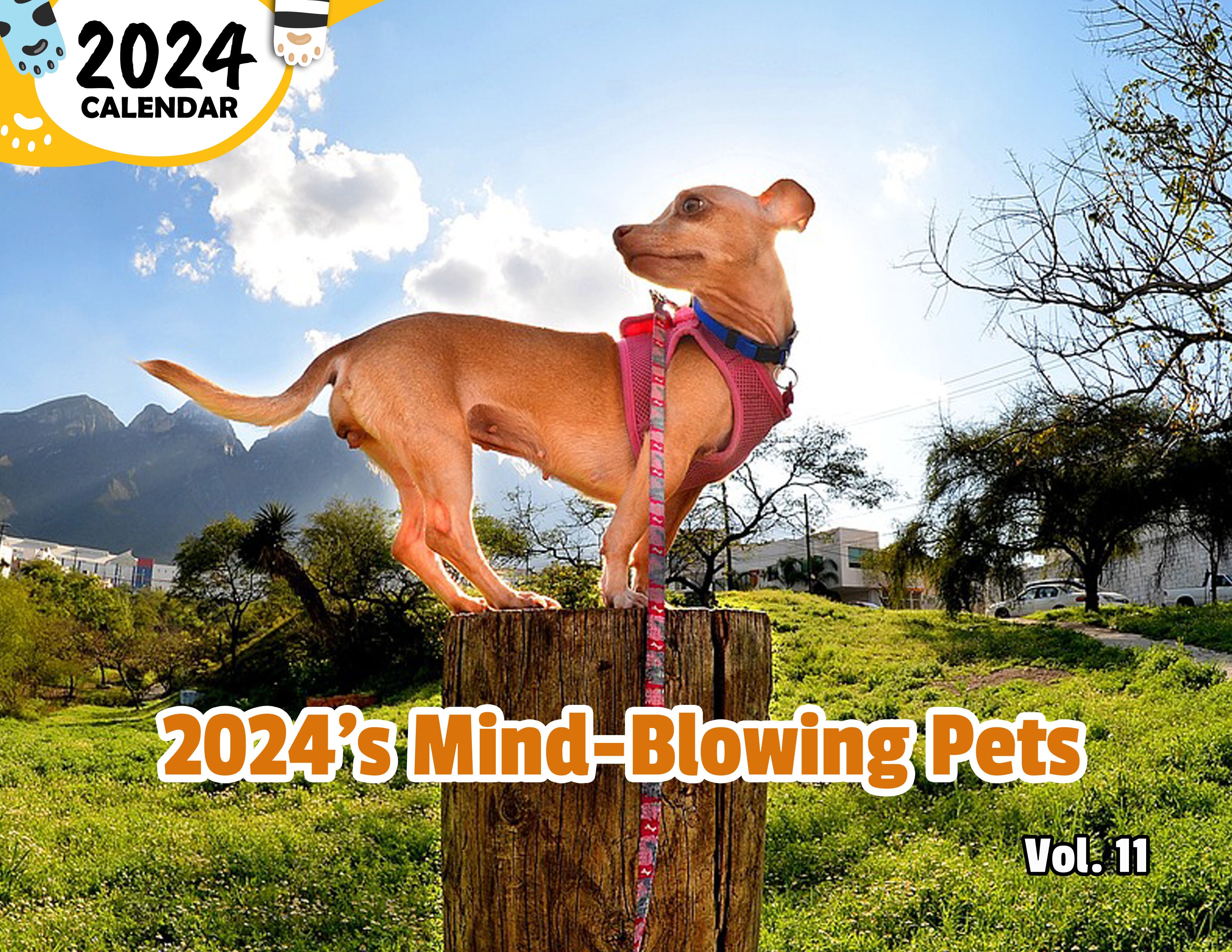 2024's Mind-Blowing Pets Volume Eleven: 2024 Wall Calendar (Published)
