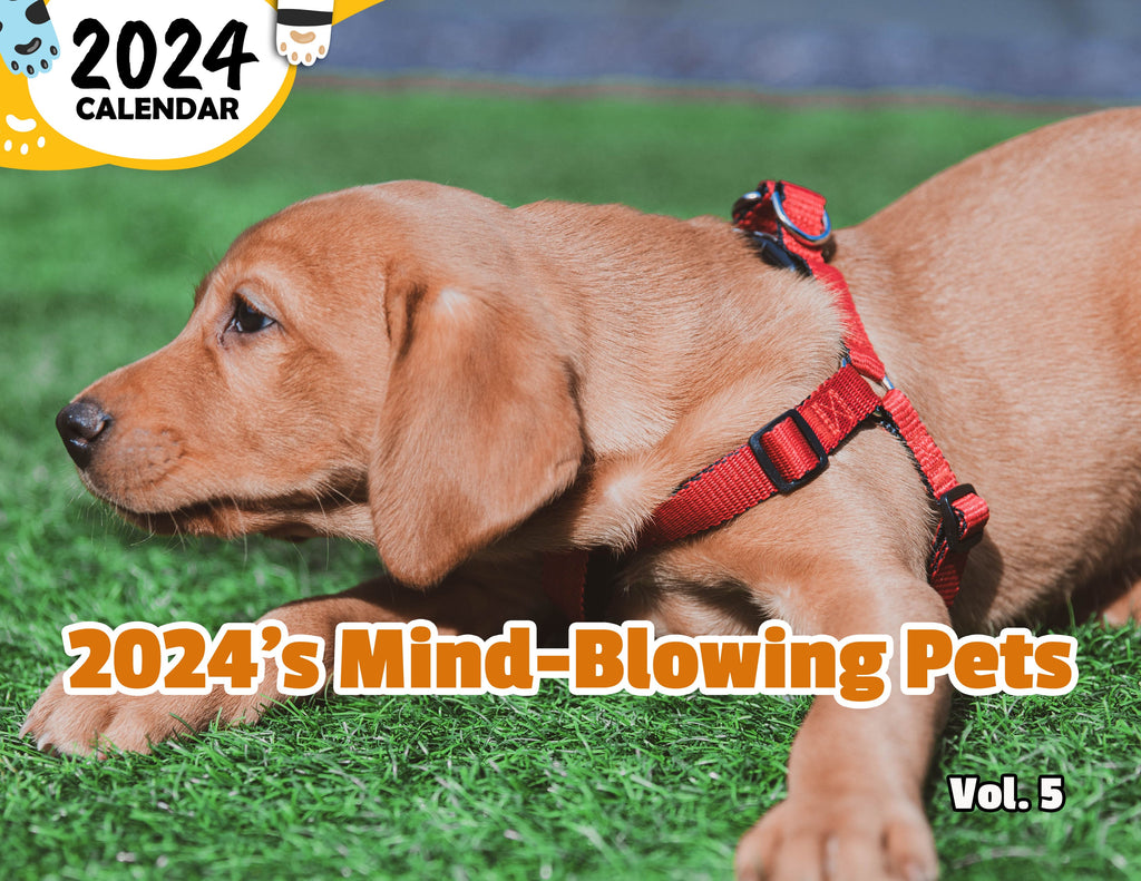 2024's Mind-Blowing Pets Volume Five: 2024 Wall Calendar (Published)