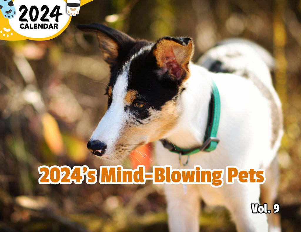 2024's Mind-Blowing Pets Volume Nine: 2024 Wall Calendar (Published)